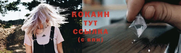 ECSTASY Абаза